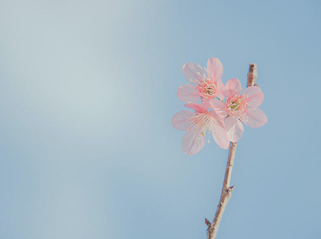 Four Signs it is time to get out of your Relationship
